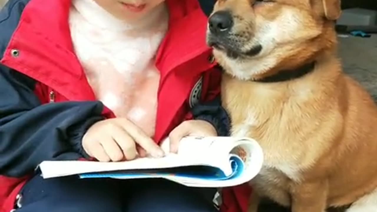A dog that studies hard