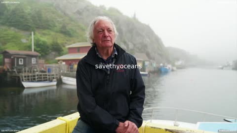 Rebuilding Capelin From A Fisherâs Point Of View