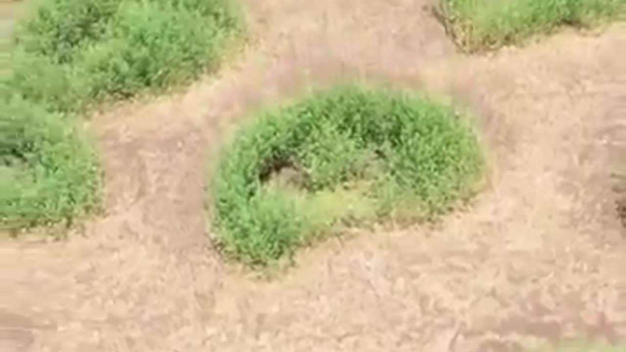 ✨🌍 How Simple Crescent Holes Are Transforming Tanzanian Deserts! | FeedMyCuriosity