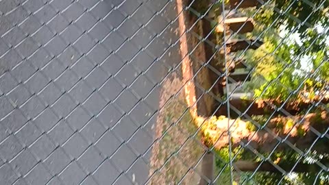 Cops came followed by the chos3n ones