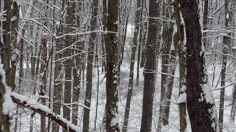 Ohio Deer Season 2025