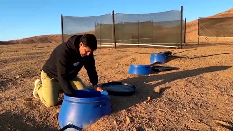 How to grow lettuce in the driest desert on Earth