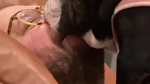 Dogs are cute🥰