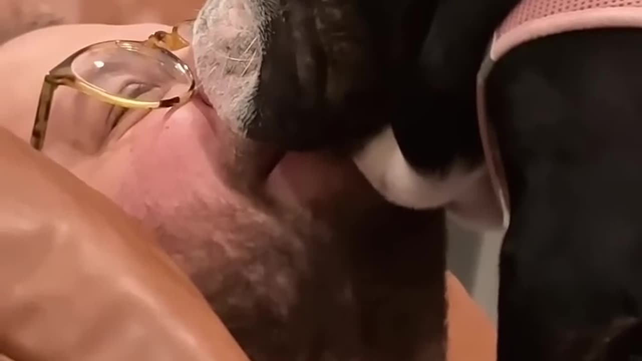 Dogs are cuteš„°