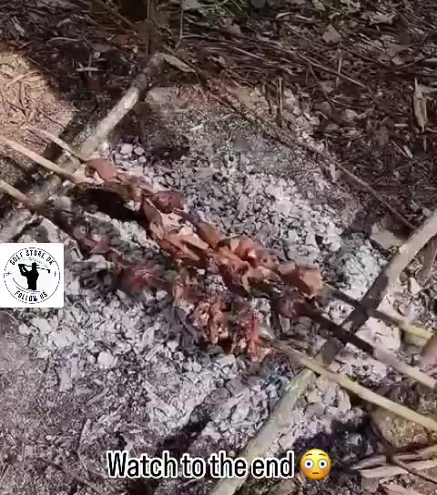 Guy builds an entire house on a tree!