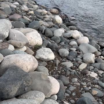 Psalm 12 #God #Jesus #prayingpsalms