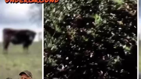 Wat is happening under our feet?