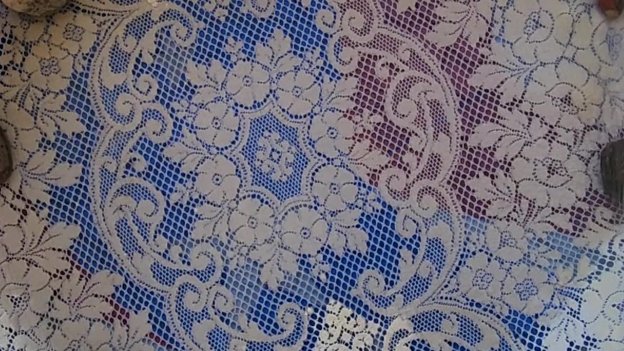 "All Species Flower Pool Party"