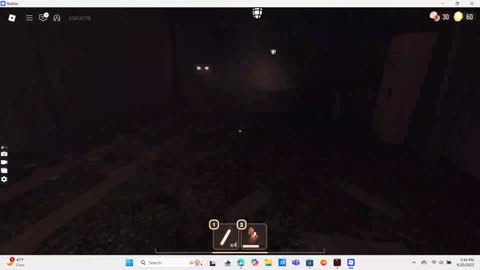 ROBLOX doors mines