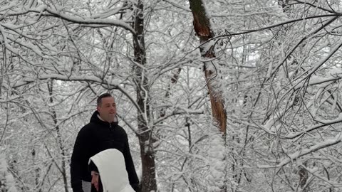 Tree Falls on Woman