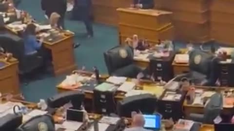 Colorado State Rep Amy Paschal (D) was spotted playing a colorbook game