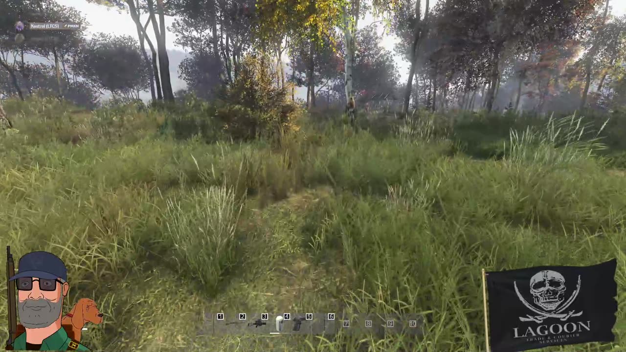 DayZ with the Lagoonies