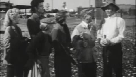 The Beverly Hillbillies (Jed Becomes A Banker) Season 1, Episode 24