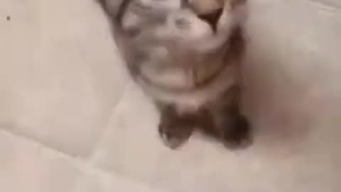 You hungry