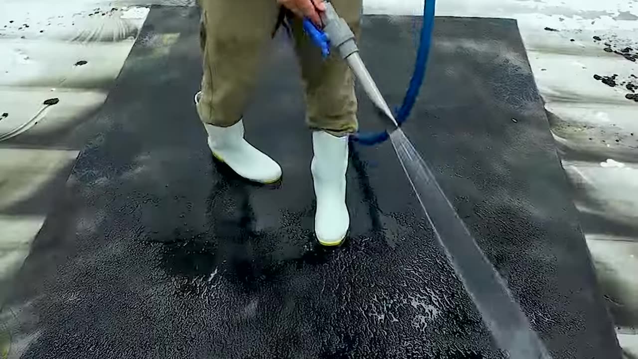 Mesmerizing Carpet Cleaning: The Most Satisfying Videos Ever #shorts #satisfyingvideo