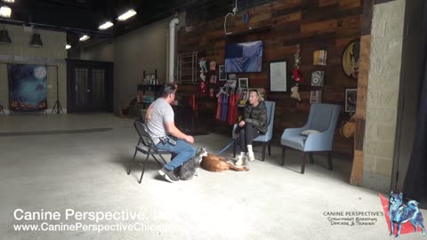 Consultation: Huntey, Minty | Aggression Or Corrections? Child Aggression Or Territorial Behavior?