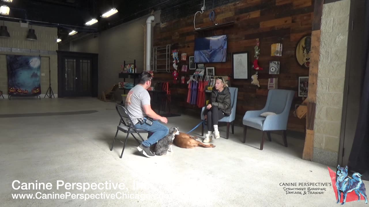 Consultation: Huntey, Minty | Aggression Or Corrections? Child Aggression Or Territorial Behavior?