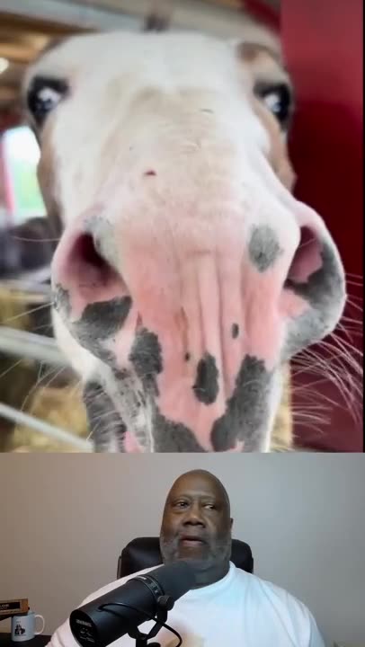 ALL DEMOCRATS DO IS SCREAM AND HOLLA | Democrats Throw Another Tantrum | UncleCoon