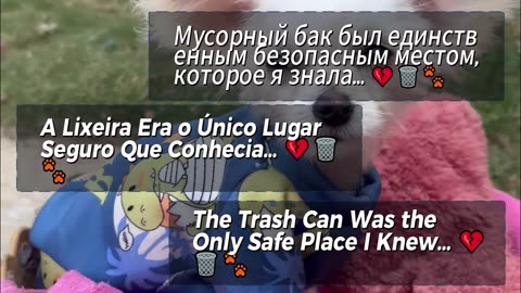 The Trash Can Was the Only Safe Place I Knew… 💔🗑️🐾