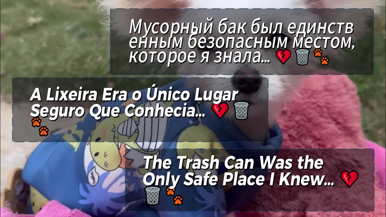 The Trash Can Was the Only Safe Place I Knew… 💔🗑️🐾