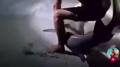 😱🦈 You Won't Believe What Happens When You Mess With a Shark! | FunFM