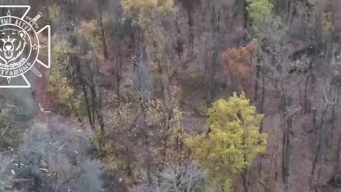 💥🌳 Ukraine Russia War | Tornado-S MLRS Strikes Ukrainian Forces in Kharkiv | RCF