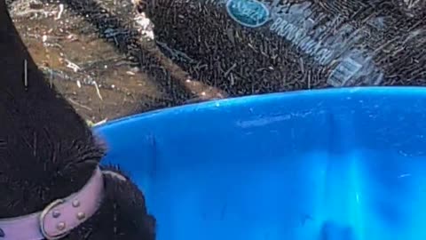 🚿💨 This Kid's Water Fetching Mission is HILARIOUSLY Fails! | FunFM
