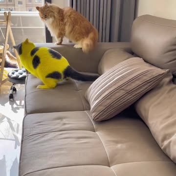 “⚡😼 Lightning Meow Punch – Even the Toughest Surrenders!”