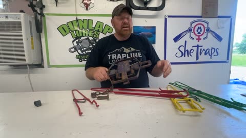 How to set beaver traps