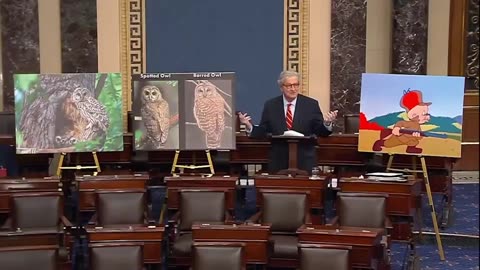 US Department of Interior created a DEI program for Owls – Sen. John Kennedy