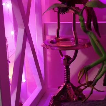 A Little Shelfie Look For Ya!