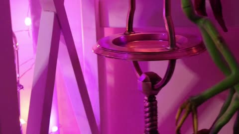 A Little Shelfie Look For Ya!