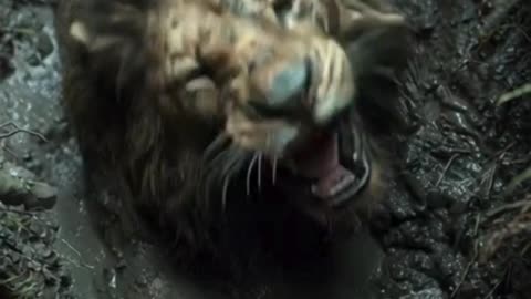 🦁 शेर और 🐿️ छोटी गिलहरी की समझदारी