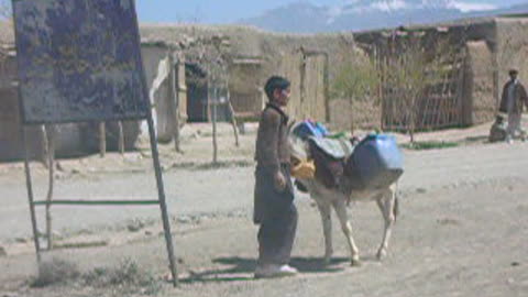 Koshi kid with donkey