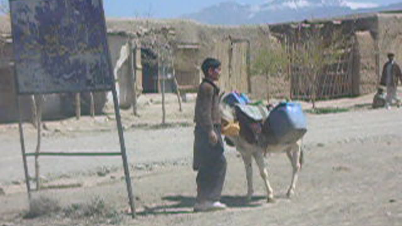 Koshi kid with donkey