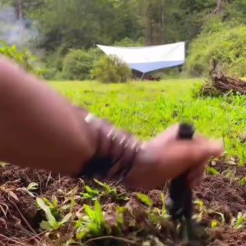 Homemade Pizza Dough: Get Pizzeria Results in Your Own Oven