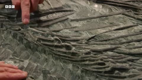 ‎Sir David Attenborough Investigates A Jurassic Murder Mystery | BBC Earth