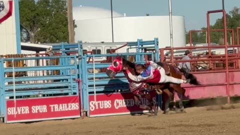 July 3rd Brush Rodeo