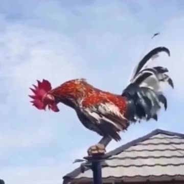 Trying to start your car on a freezing morning.. 😅