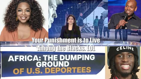 Oprah tells illegals they must live among the Blacks. LOL