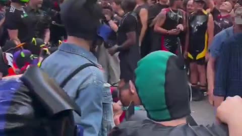 Why are they howling?