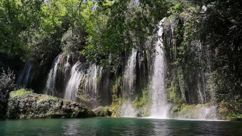 Nature Sleep Music Calming Sounds for Deep Sleep with Rain, Waves, Birds, & Forest Ambience