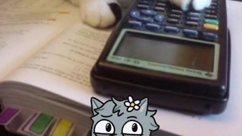gato-invisivel.mp4