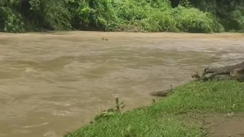 Flooded road in rainy season