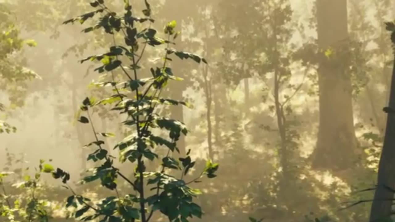 sachi dosti ki khani
