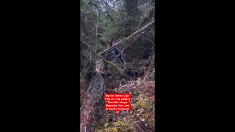 Étrangeté extrême… Des jambes sans corps courent dans la rue