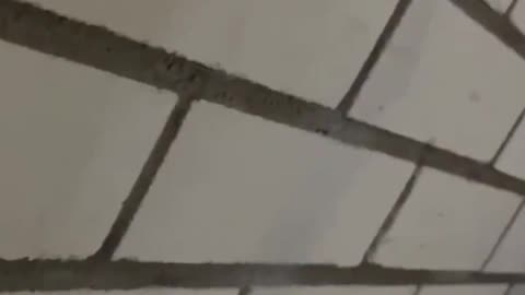 Voronezh, suppressed by electronic warfare systems, the UAV goes off course and flies into a house.