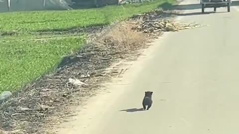 This lil guy 😍😂