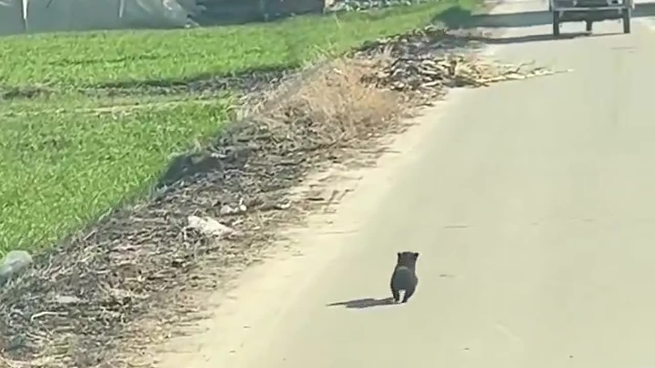 This lil guy 😍😂