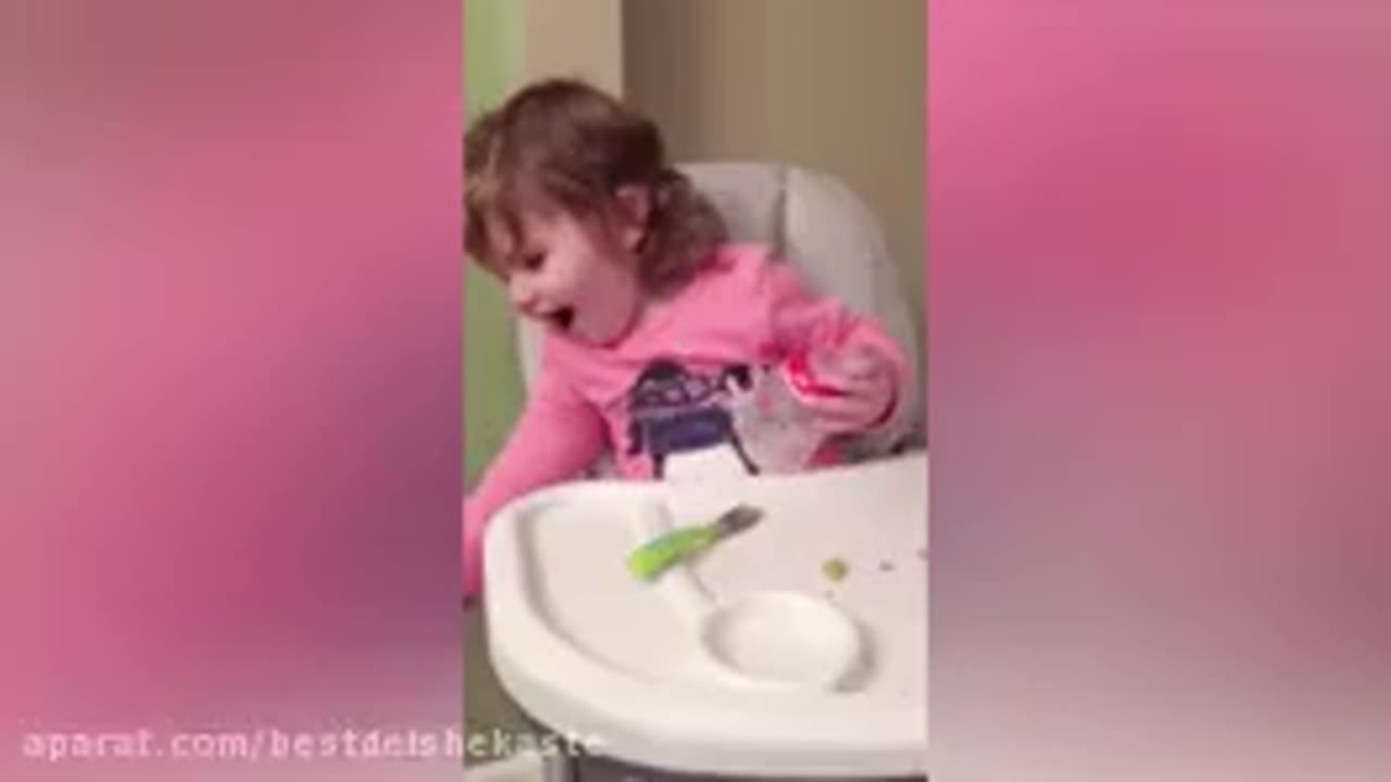 animals funny